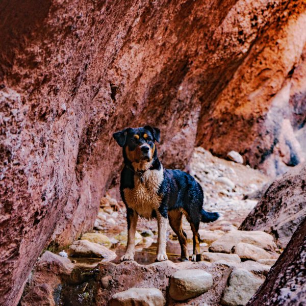 Mila in Maroc